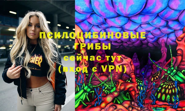 спайс Алексеевка