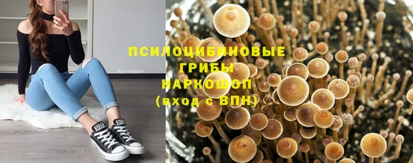 не бодяженный Абаза